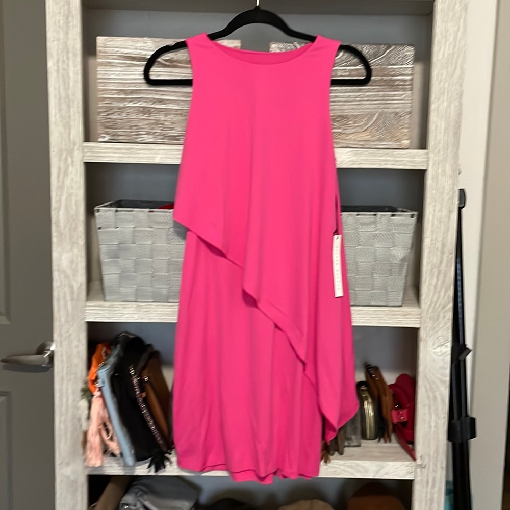 Susana Monaco dress